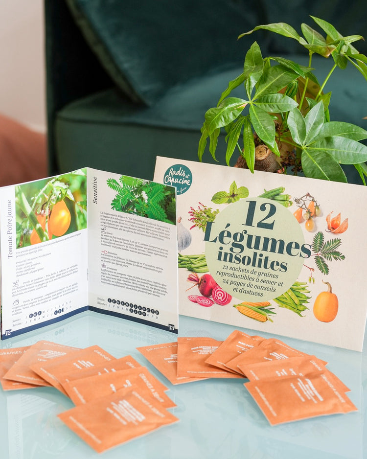 Coffret de 12 sachets de graines de légumes variés.