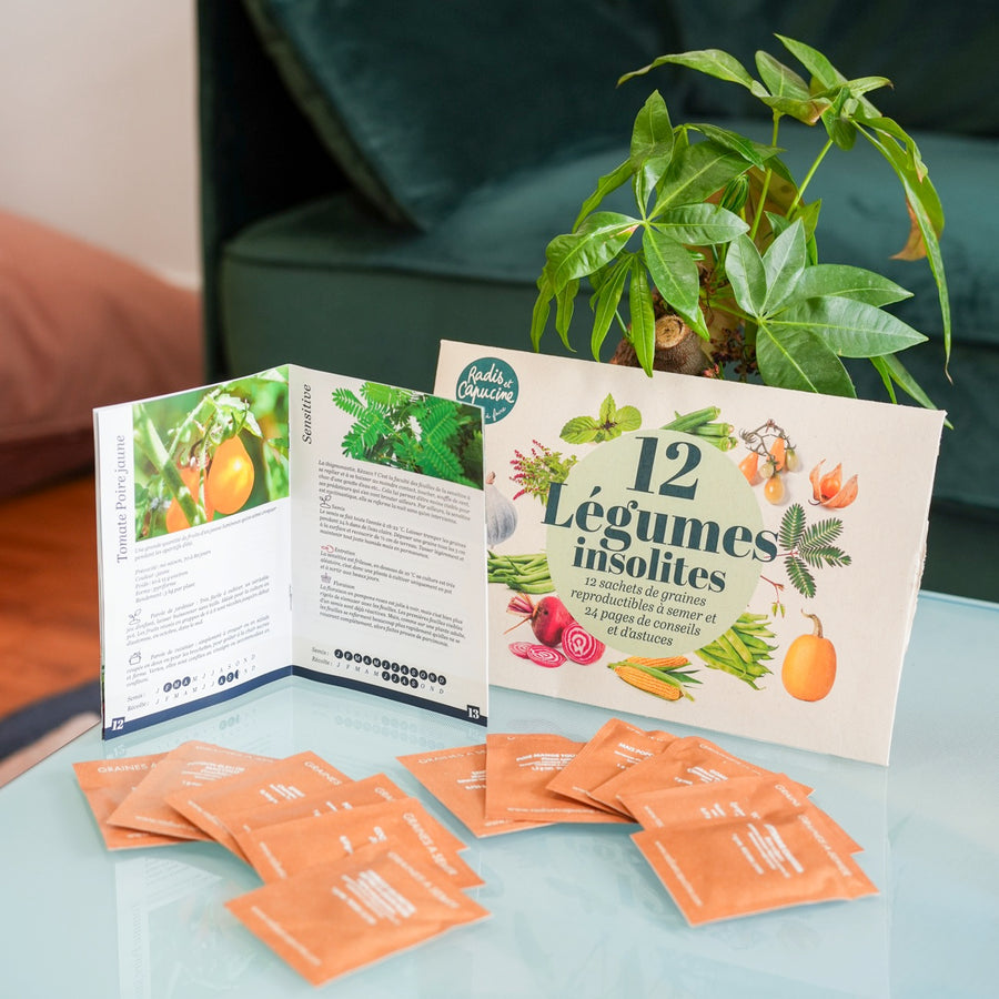 Coffret de 12 sachets de graines de légumes variés.