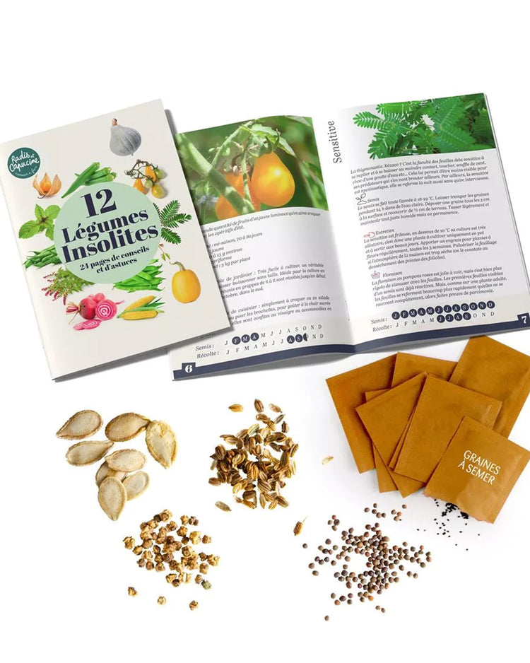 Coffret de 12 sachets de graines de légumes variés.