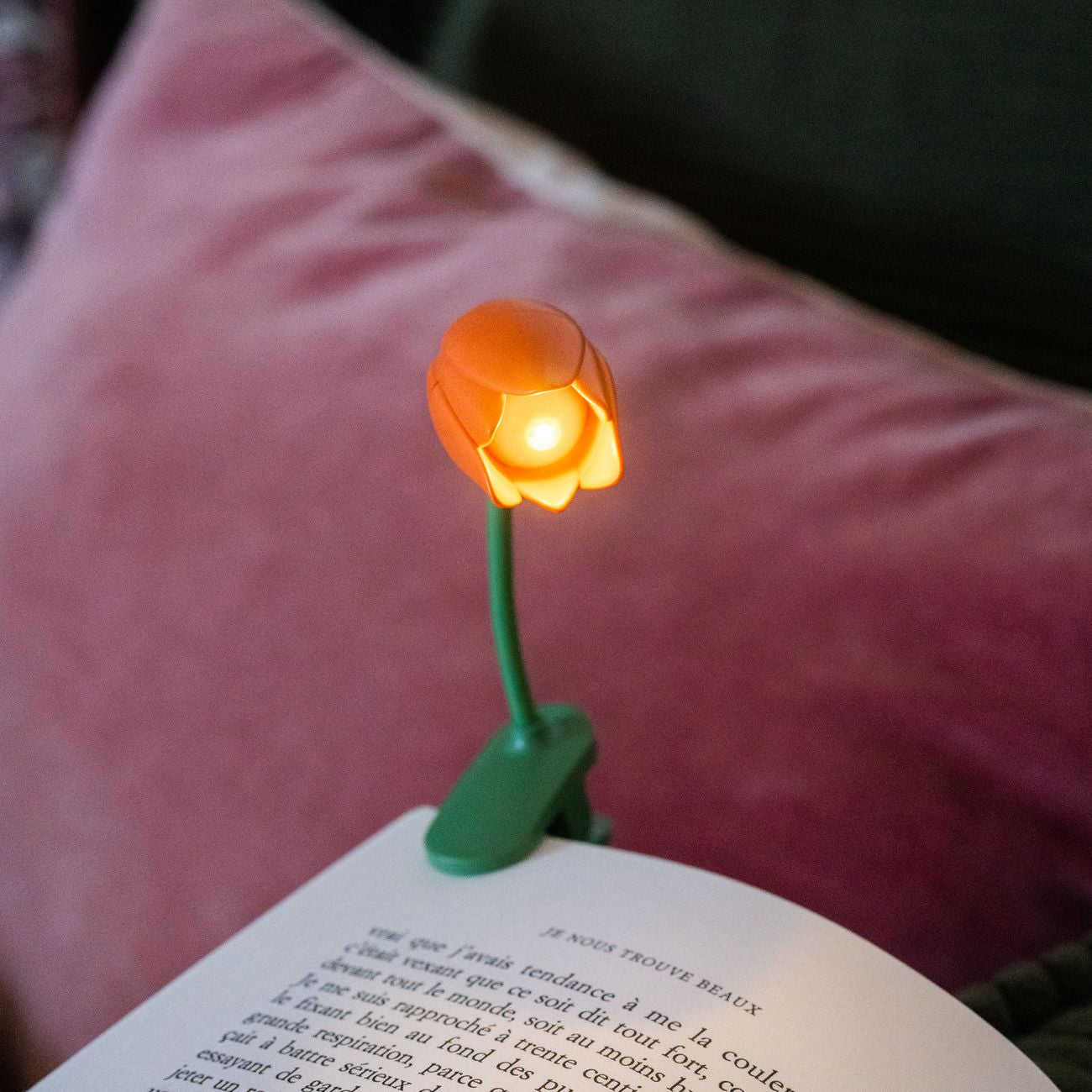 Liseuse tulipe posée sur un livre, éclairage doux et discret.