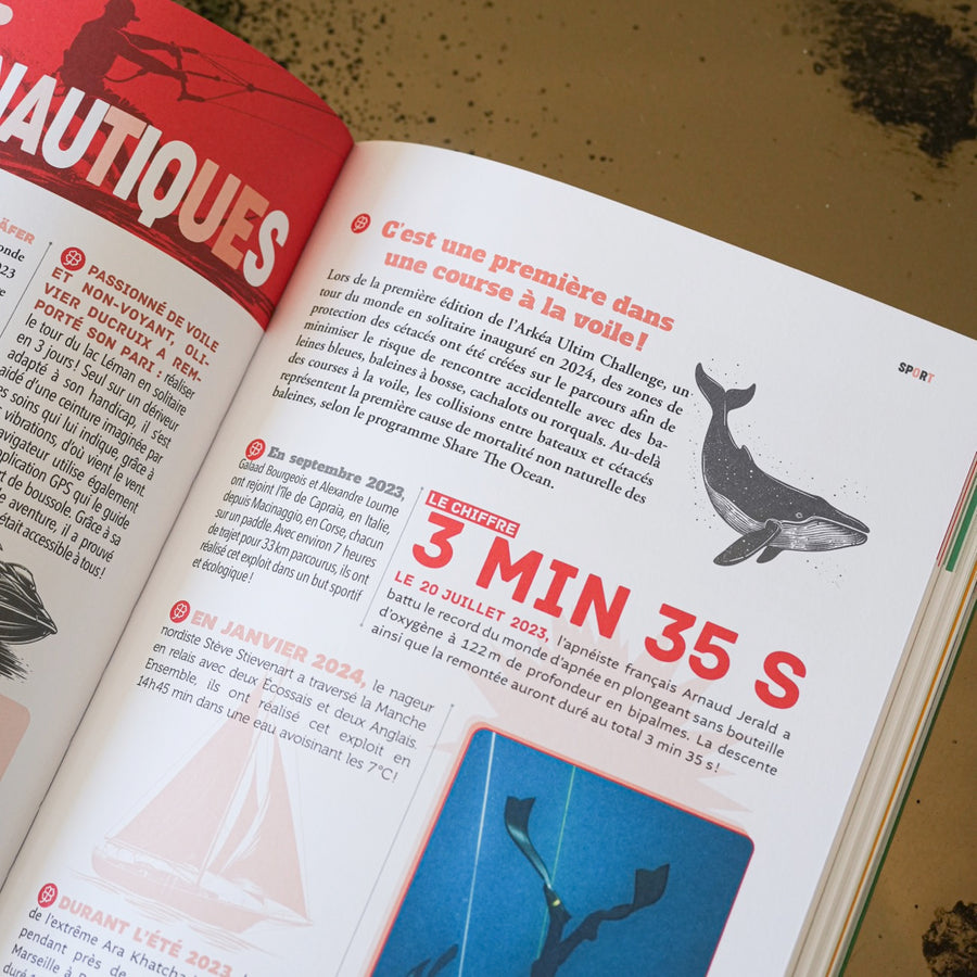 Couverture du livre avec un design coloré et joyeux.