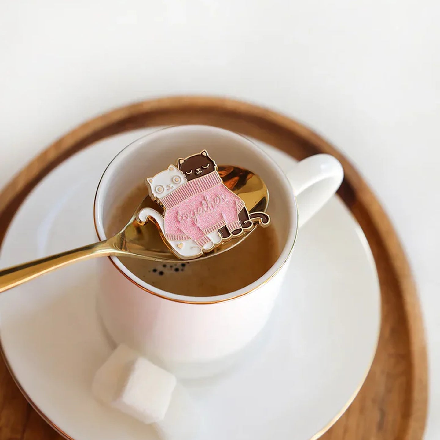 Pins représentant deux chats câlins dans un pull