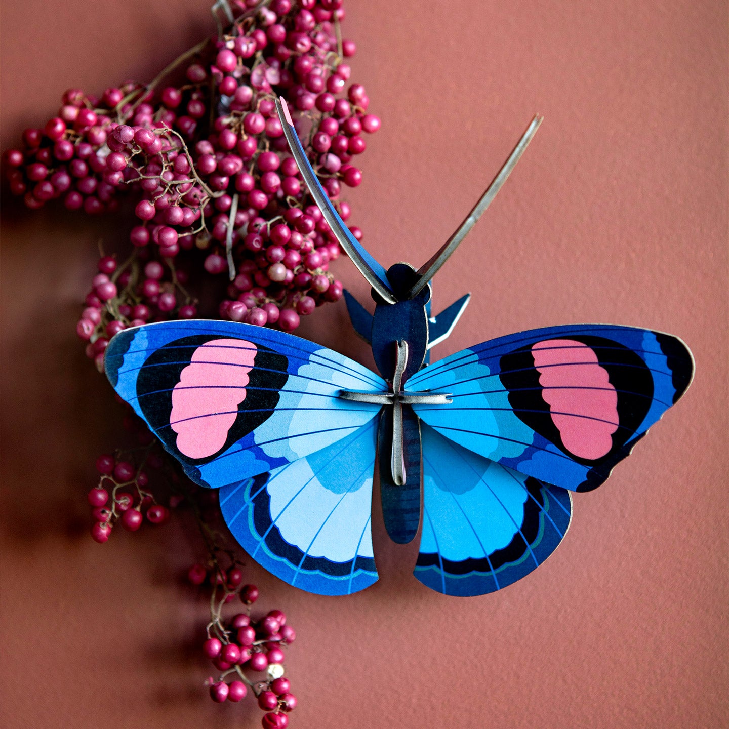 maquette_3D_papillon_mieux_que_des_fleurs_1