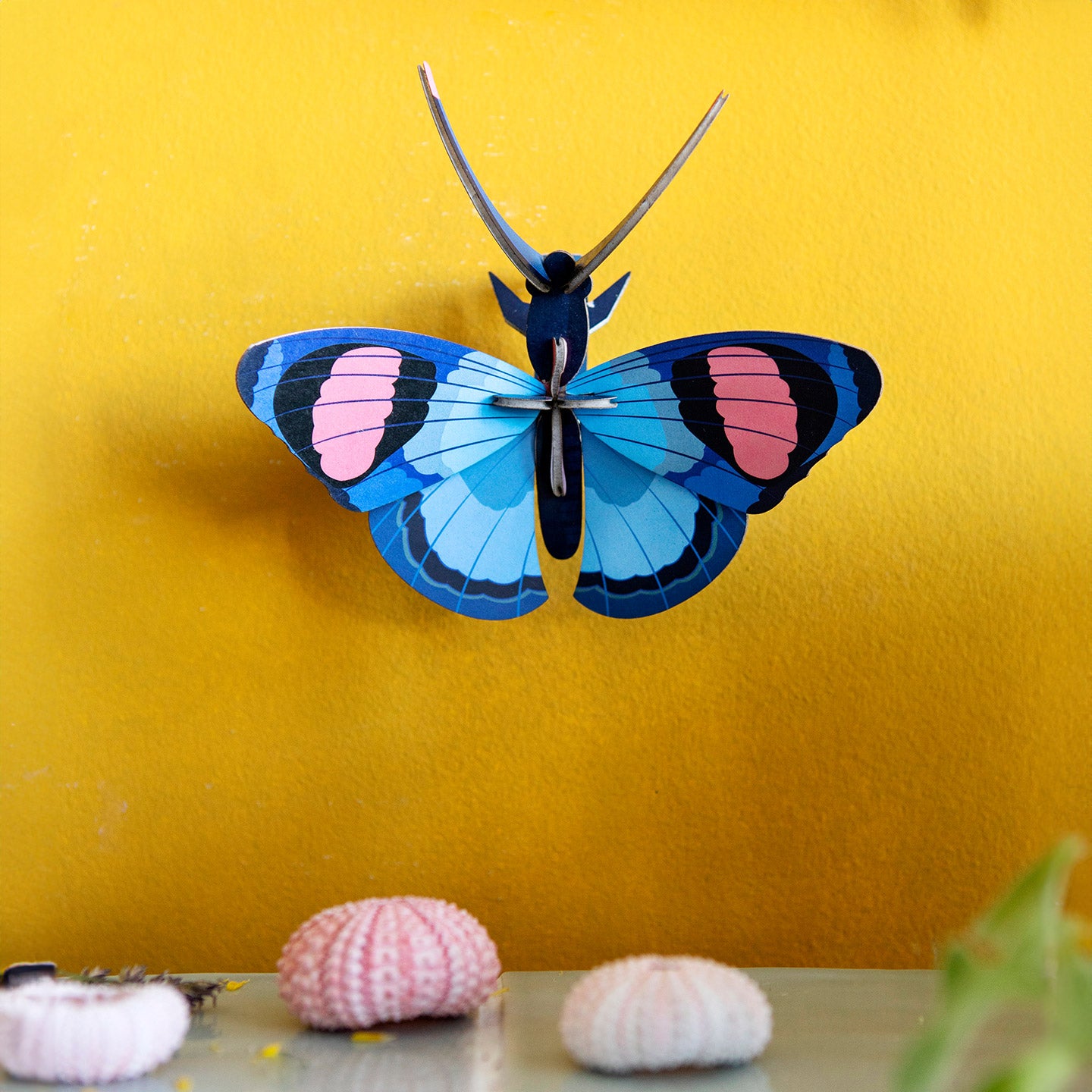 maquette_3D_papillon_mieux_que_des_fleurs_5