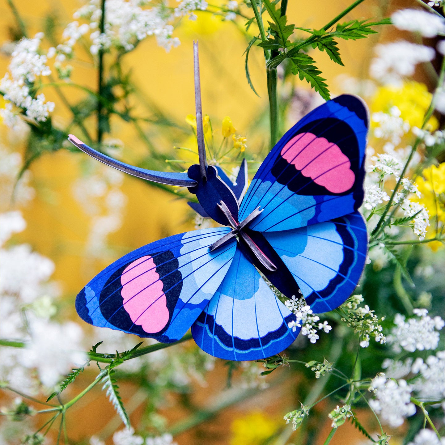 maquette_3D_papillon_mieux_que_des_fleurs_4