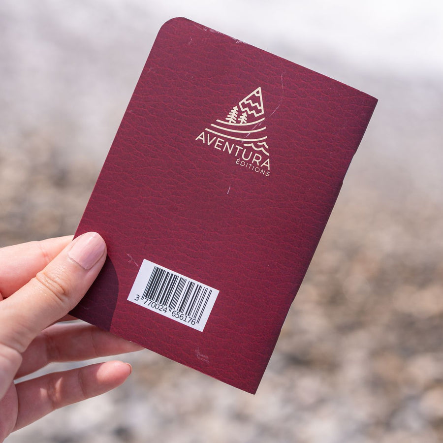 Passeport de voyage ouvert avec des pages colorées visibles.