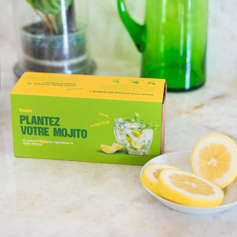 Kit de jardinage pour cultiver basilic et menthe, vue de dessus.