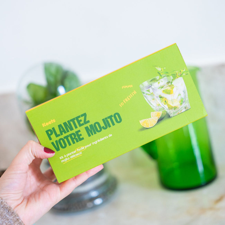 Kit de jardinage pour cultiver basilic et menthe, vue de dessus.