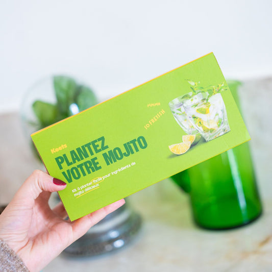 Kit pour planter son Mojito