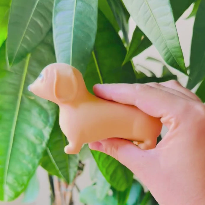 Vidéo de présentation du teckel anti-stress handy