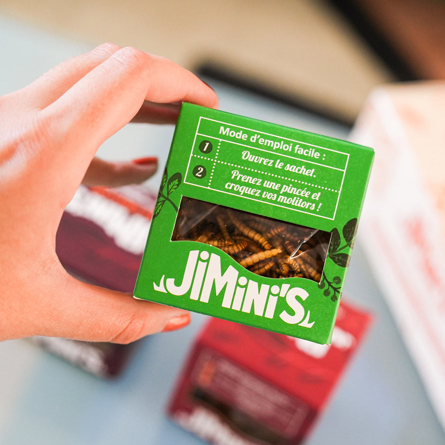 Coffret d'insectes comestibles pour apéro, vue de dessus.