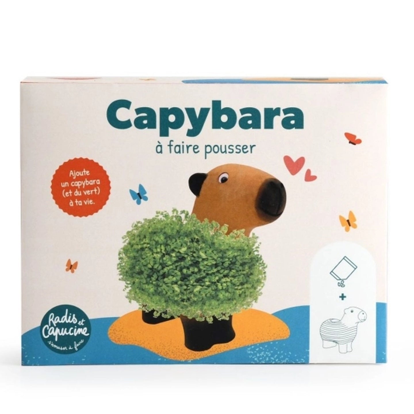 Capybara à faire pousser