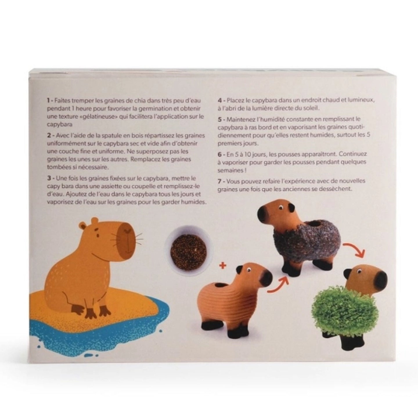 Capybara à faire pousser