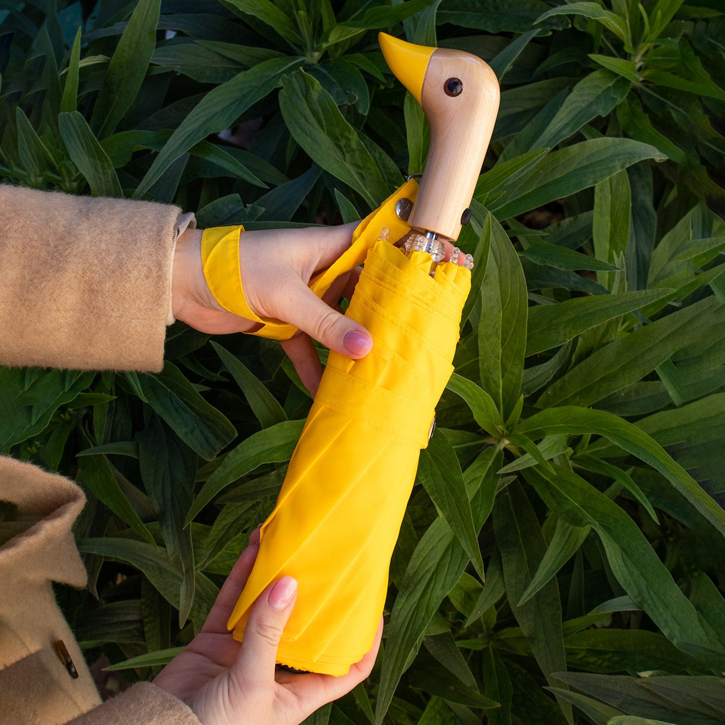 Parapluie jaune canard