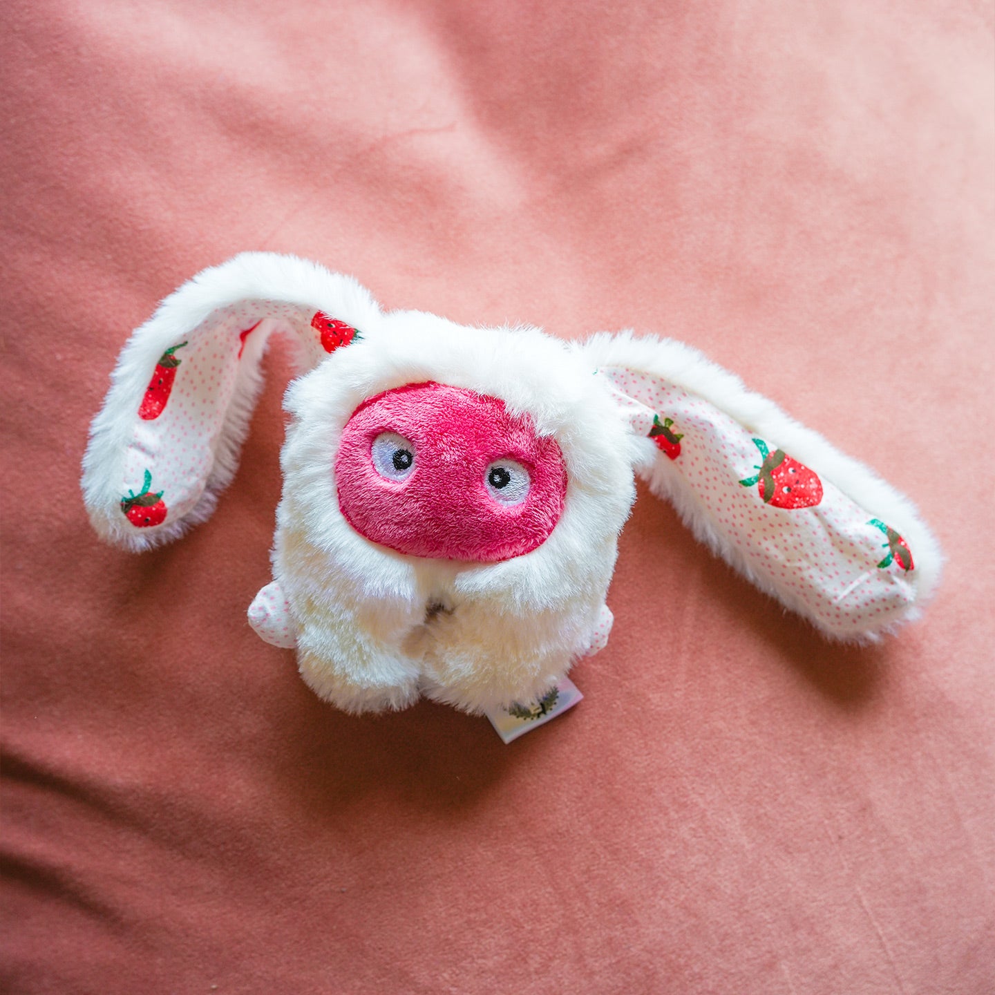 Mieux Que Des Fleurs - Une peluche mini bestiole