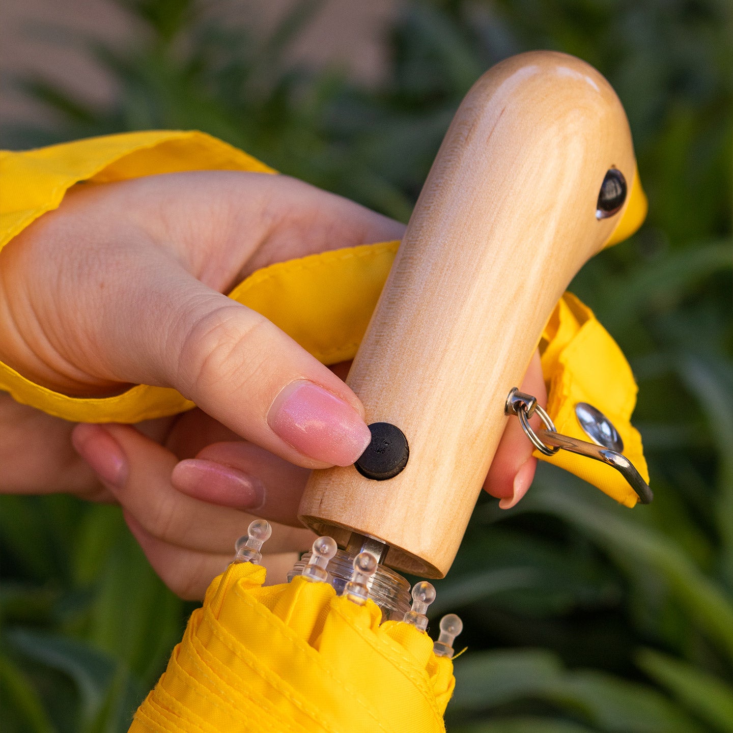 Parapluie manche bois massif canard