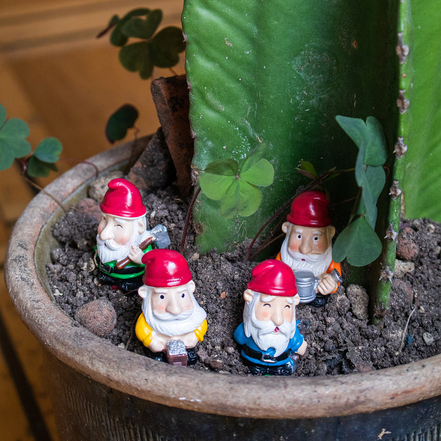 Nains de pot de plante en céramique colorée sur fond blanc