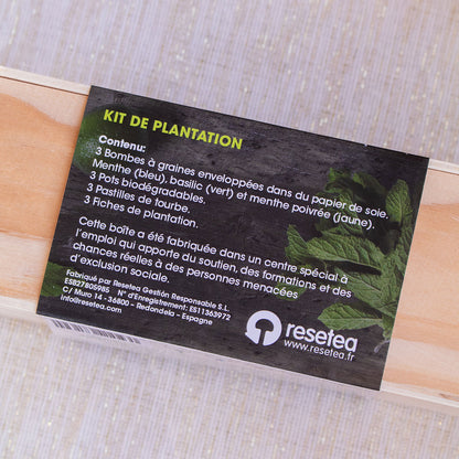 Kit de plantation spécial Mojito