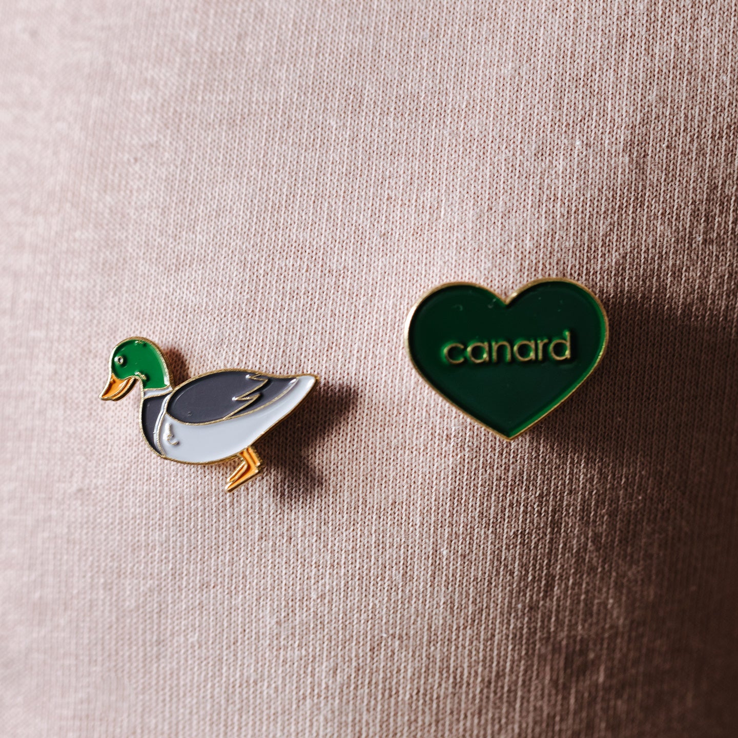 Pin's canard