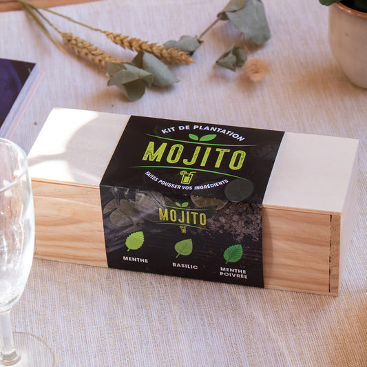 Kit de plantation spécial Mojito