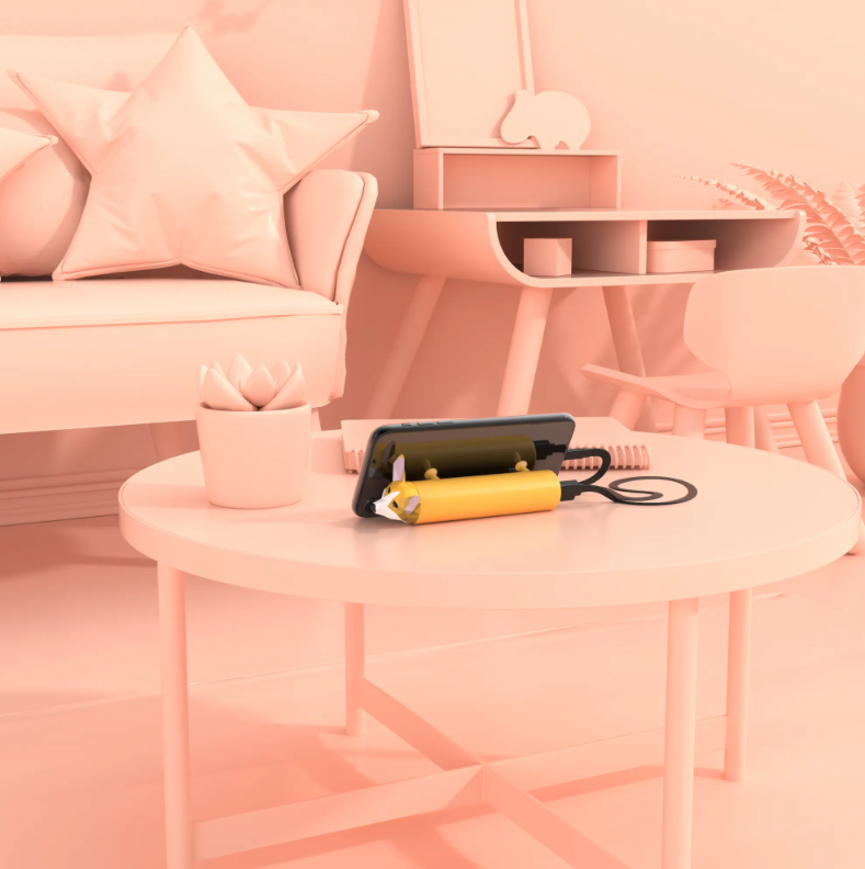 Batterie externe corgi