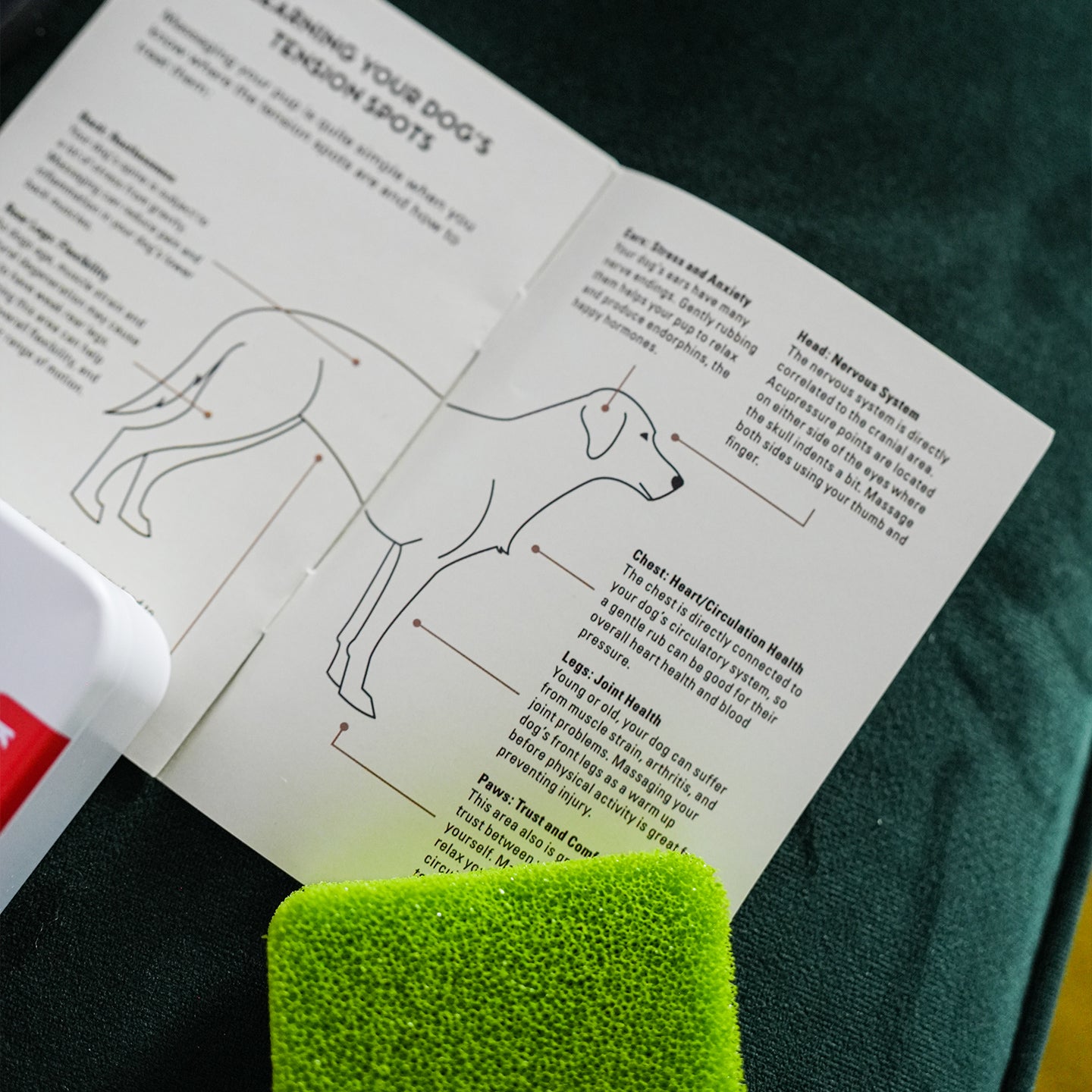 Kit pour chien | aller au spa