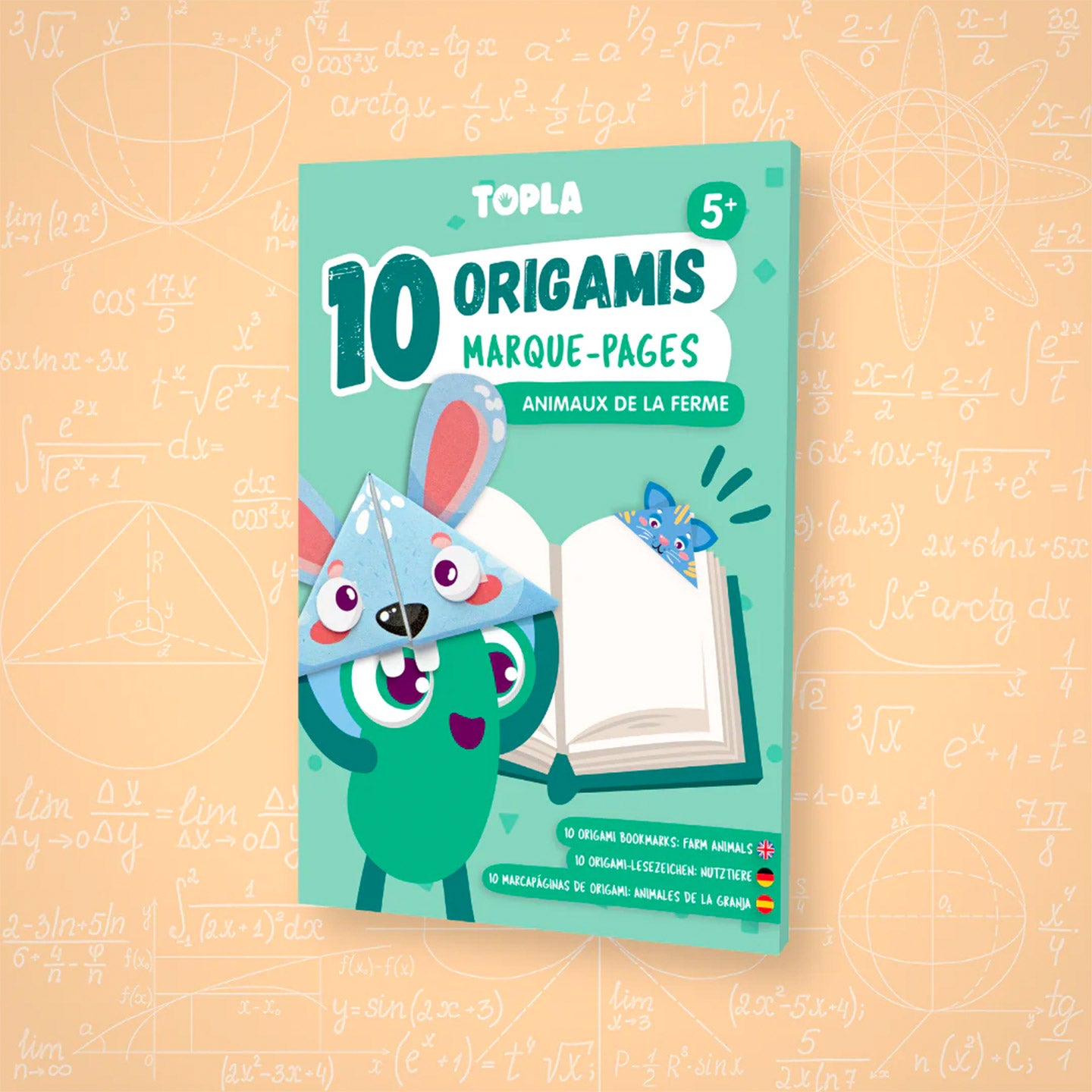 Kit d'origami de 10 marque pages