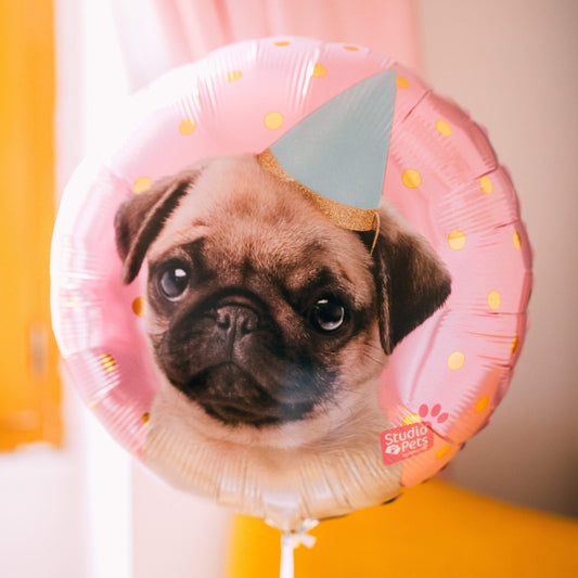 Ballon Chien Pug