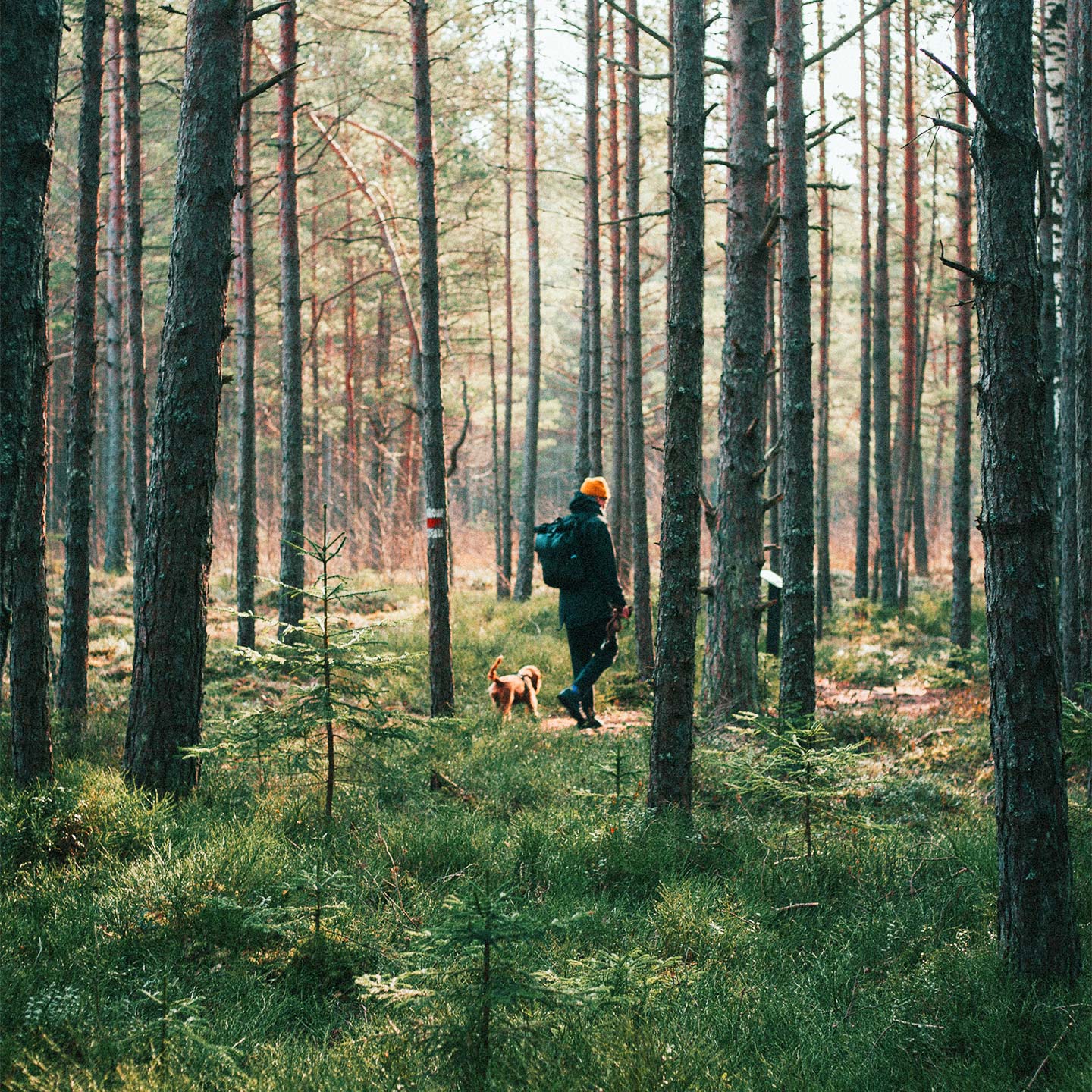 Bougie personnalisée avec photo, texture lisse et parfum boisé.